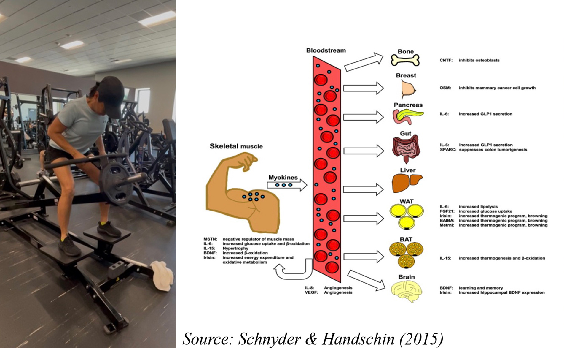 How Exercise Is Essential for Our Well-being?